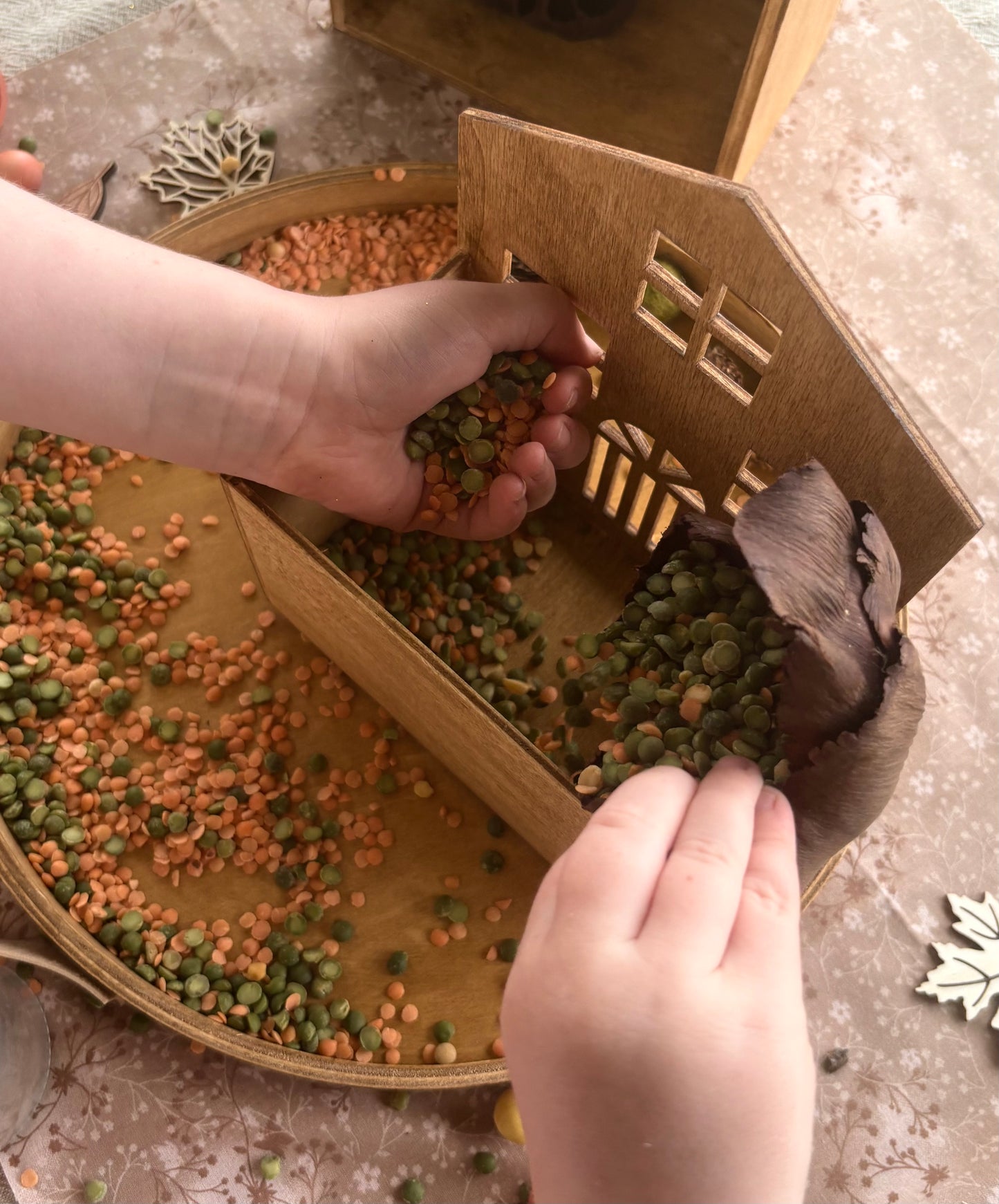 Season Play House